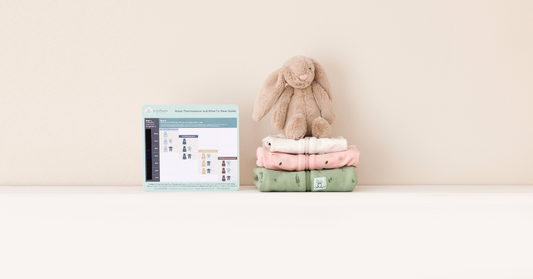 How to Keep Your Baby Cosy and Safe with ergoPouch: A Year-Round Guide