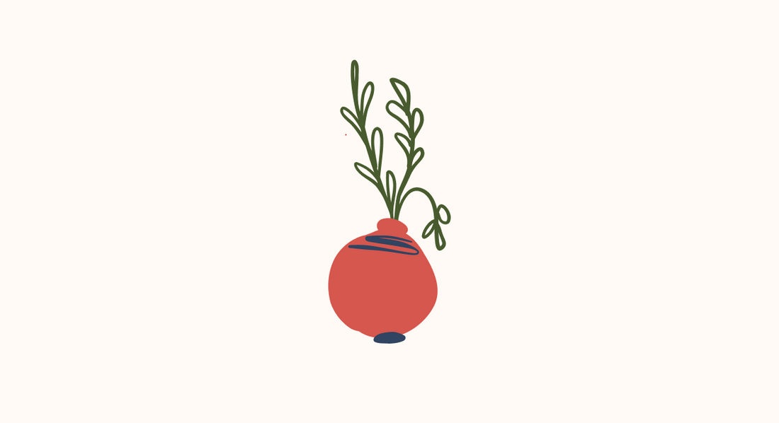a red vase with green plant