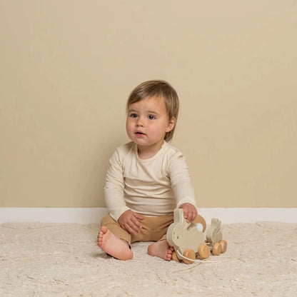 Little Dutch Pull Along Bunnies