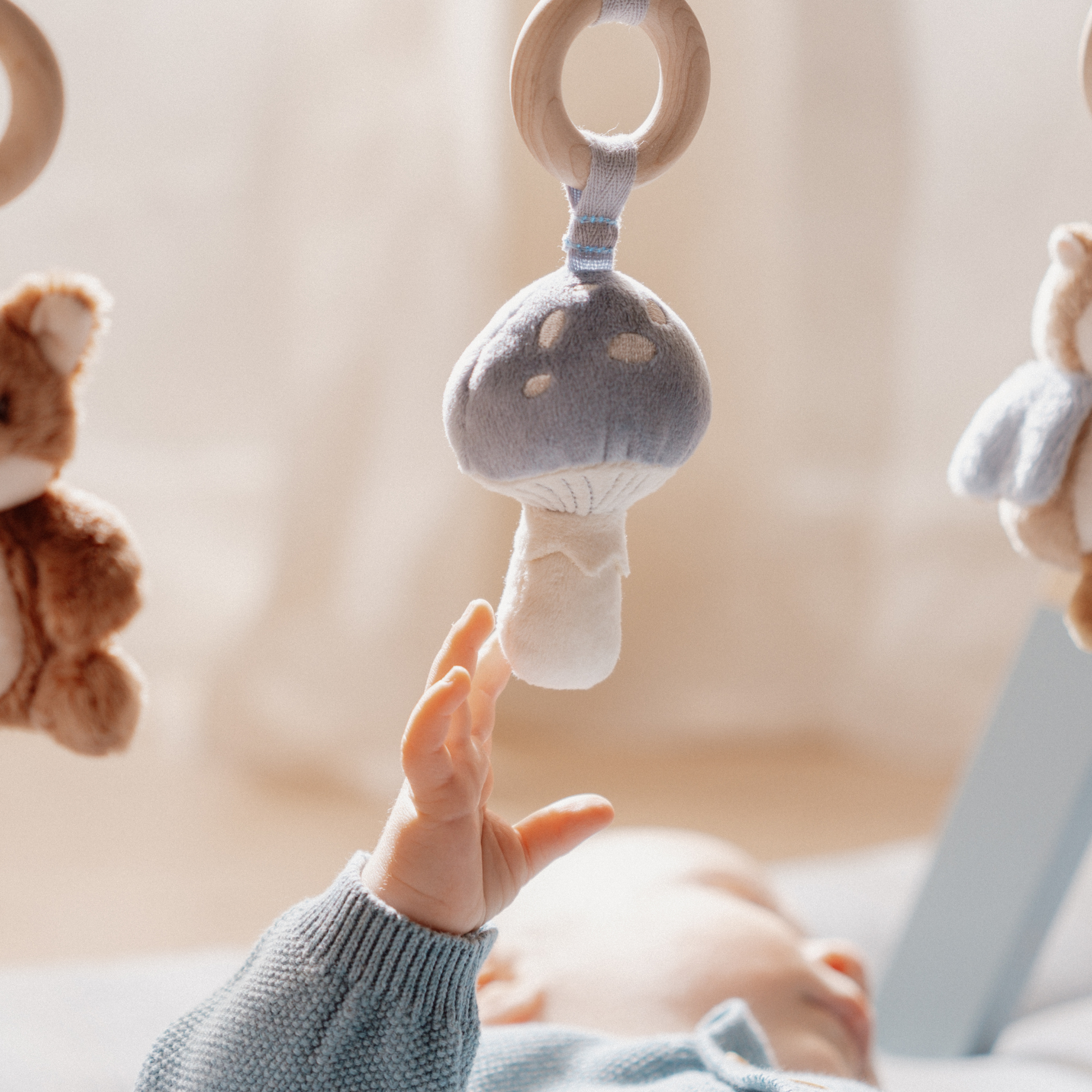 Little Dutch Baby Play Gym - Forest Friends - close up mushroom