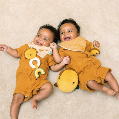 Trixie Teething Toy - Mr. Lion