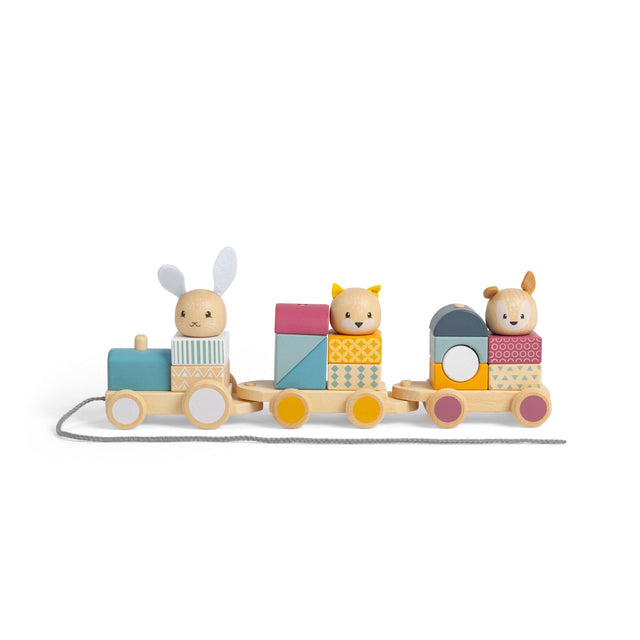 Bigjigs Toys Activity Pull Along Train