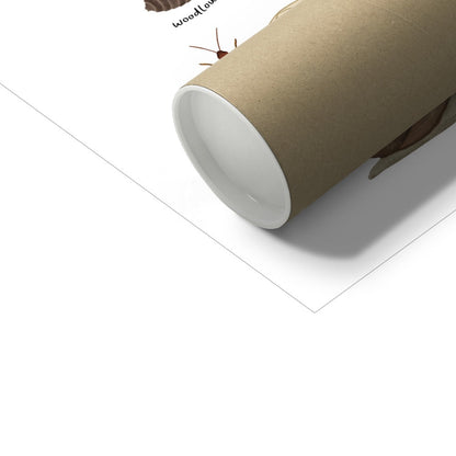 Kid of the Village Minibeasts Fine Art Print - White