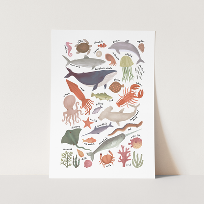 Kid of the Village Ocean Life Chart Fine Art Print - White
