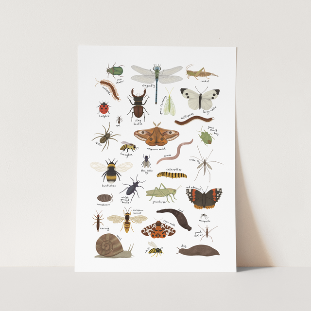 Kid of the Village Minibeasts Fine Art Print - White