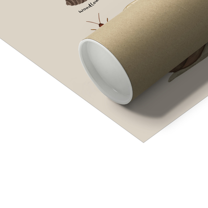 Kid Of The Village Minibeasts Fine Art Print - Stone