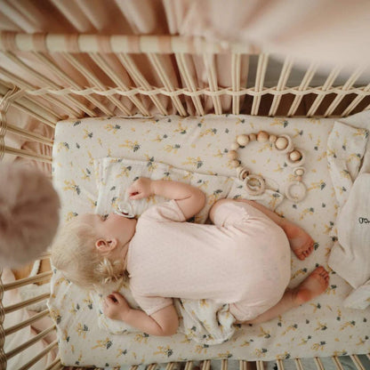 Bermbach Frederick Cot & Mattress Set