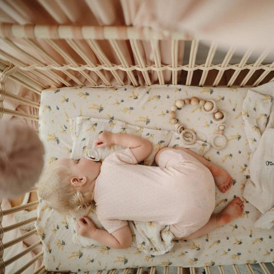 Bermbach Frederick Cot & Mattress Set