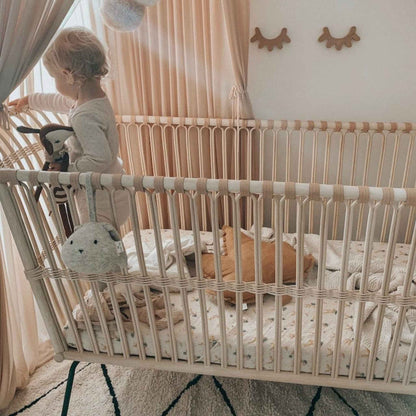 Bermbach Frederick Cot & Mattress Set