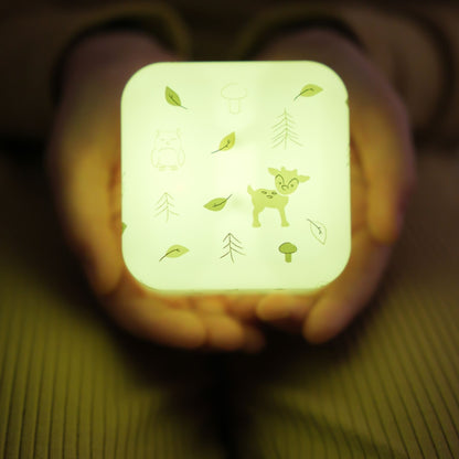 Cloud B Cube B - Forest