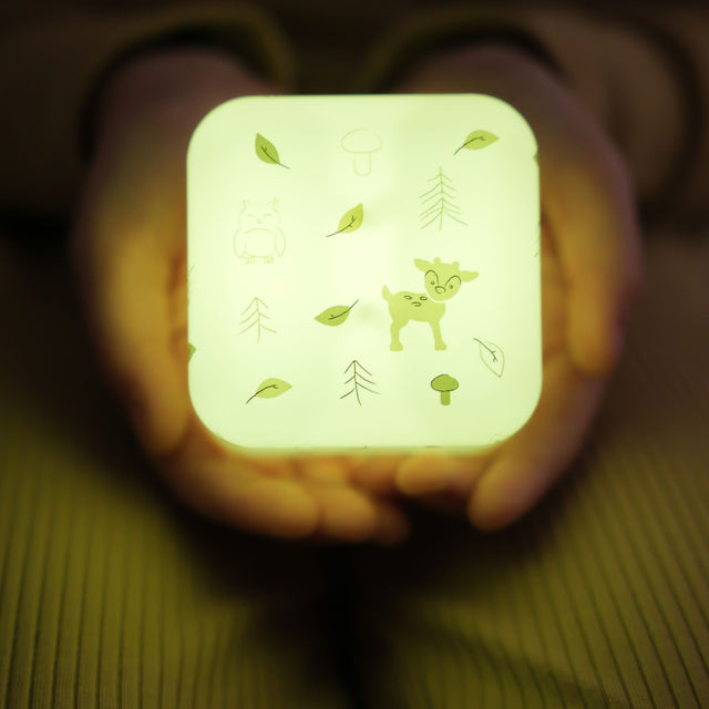 Cloud B Cube B - Forest