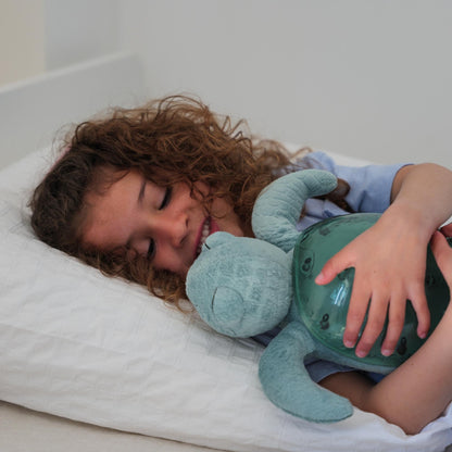 Cloud B Tranquil Turtle - Green
