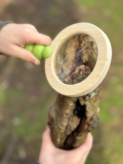 Tender Leaf Forest Trail Kit