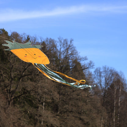 Jabadabado Kite - Pineapple
