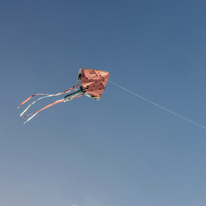 Jabadabado Watermelon Kite