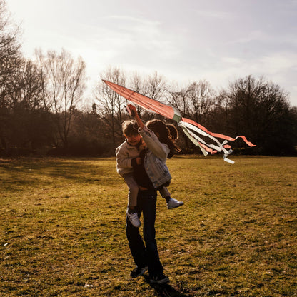 Jabadabado Watermelon Kite