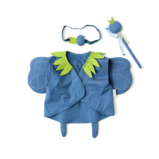 Kids Concept Blueberry Fairy Dress Up Costume