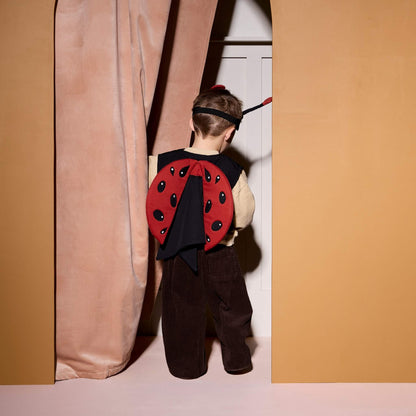 Kids Concept Ladybug Dress Up Costume