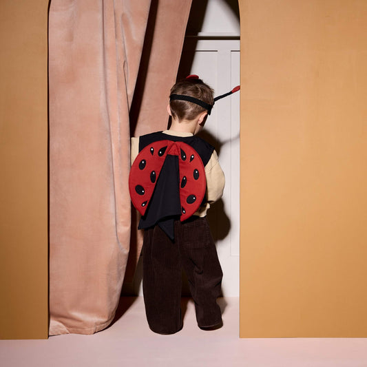 Kids Concept Ladybug Dress Up Costume