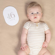 Little Dutch Baby Milestone Cards - Baby Bunny - little baby boy - 6 month old card