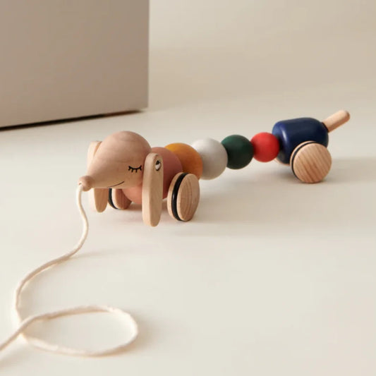 Liewood Barthes Pull Along Dog Toy - Golden Caramel Multi Mix