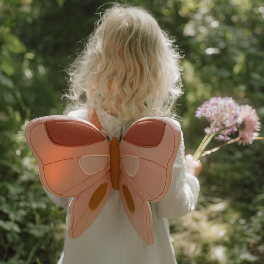 Little Dutch Fairy Wings and Magic Wand