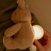 Little Dutch Cuddle Baby Bunny Light & Sound