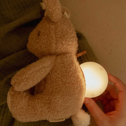Little Dutch Cuddle Baby Bunny Light & Sound