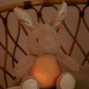 Little Dutch Cuddle Baby Bunny Light & Sound