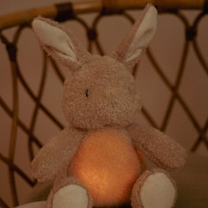 Little Dutch Cuddle Baby Bunny Light & Sound