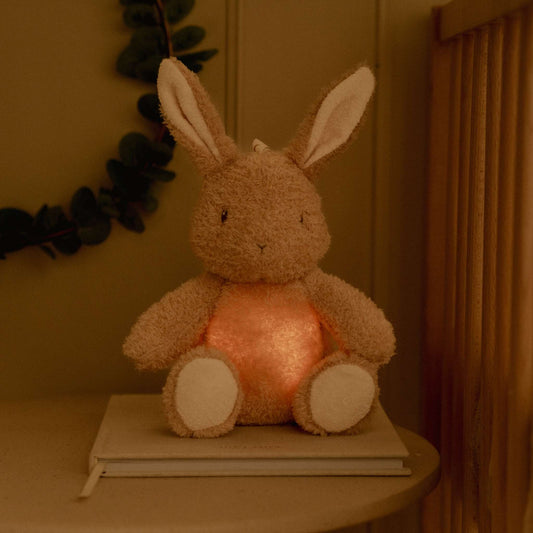Little Dutch Cuddle Baby Bunny Light & Sound