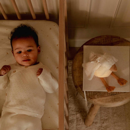 Little Dutch Cuddle Little Goose Light & Sound