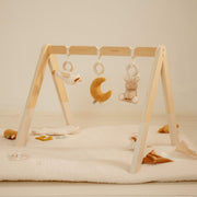 Little Dutch Baby Play Gym - Newborn Naturals