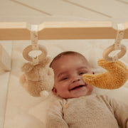 Little Dutch Baby Play Gym - Newborn Naturals