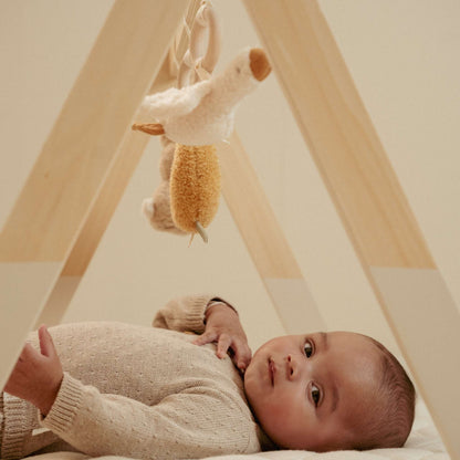 Little Dutch Baby Gym - Newborn Naturals