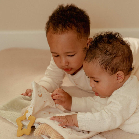 Little Dutch Stroller Book - Newborn Naturals