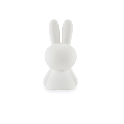 Mr. Maria Miffy First Light