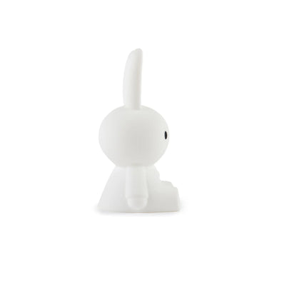 Mr. Maria Miffy First Light