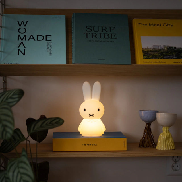 Mr. Maria Miffy Shines Light