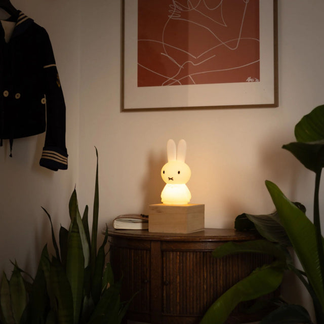 Mr. Maria Miffy Shines Light