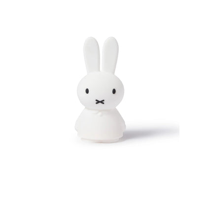 Mr. Maria Miffy Shines Light