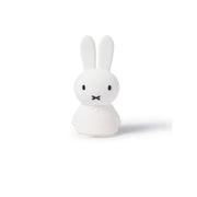 Mr. Maria Miffy Shines Light