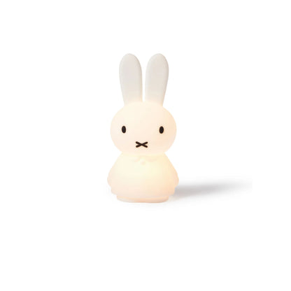 Mr. Maria Miffy Shines Light