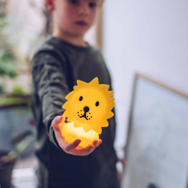 Mr. Maria Lion Bundle Of Light