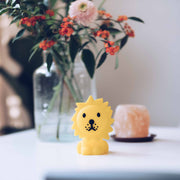 Mr. Maria Lion Bundle Of Light