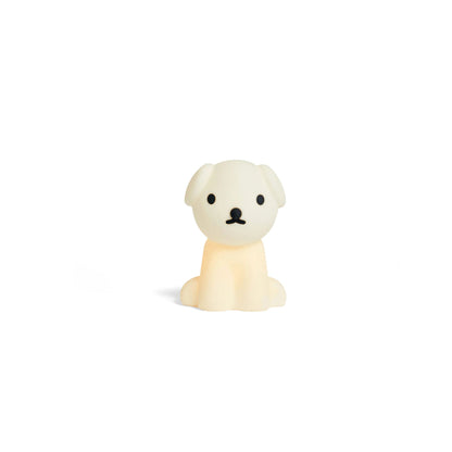 Mr. Maria Snuffy Bundle Of Light