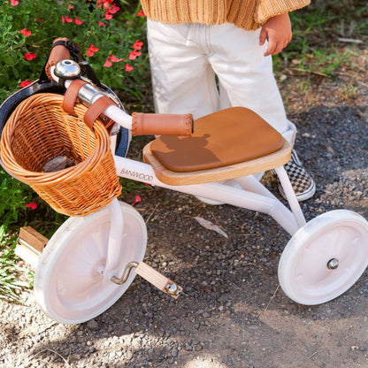 Banwood Trike - Pink