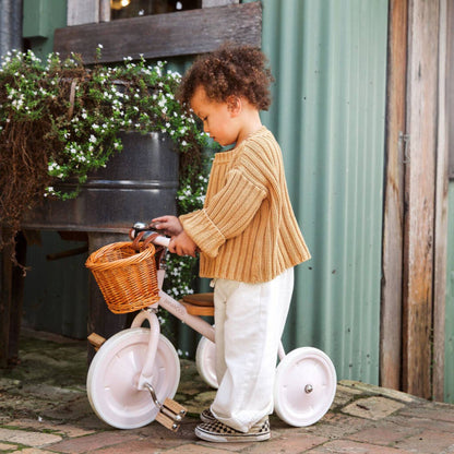 Banwood Trike - Pink
