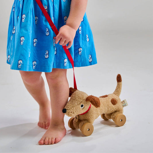 Thread Bear Design Dudley Pull Along Dog