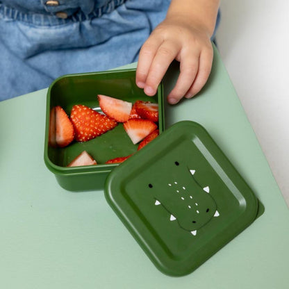Trixie Snack Box Nesting 3pcs - Mr. Alligator